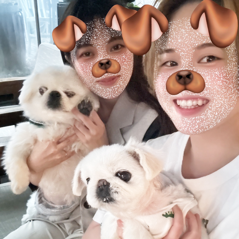 卒業犬の白玉ちゃんと大福くん♪